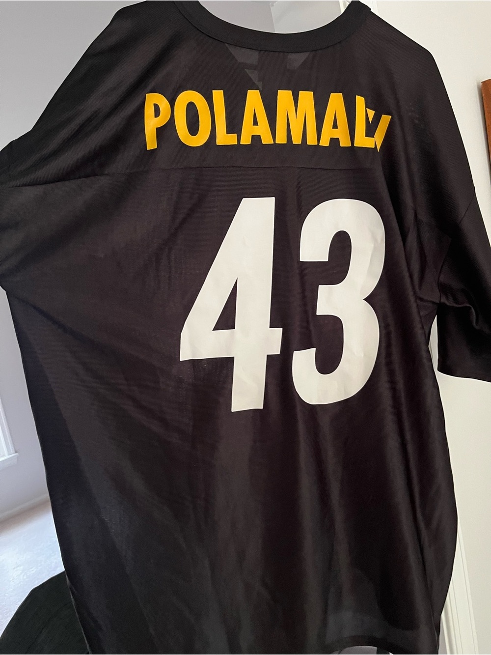 NFL Pittsburgh Steelers Polamalu 43 Jersey